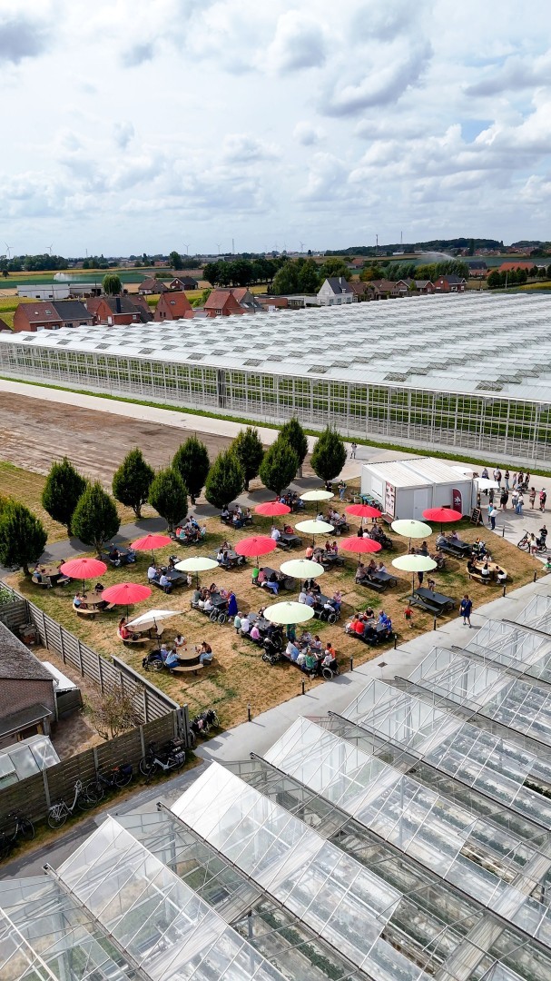 Drone-shot van de uitgestrekte Neraco-serres in Meulebeke waar de aardbeien groeien.